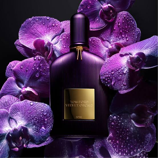 Velvet Orchid By Tom Ford EDP Perfume